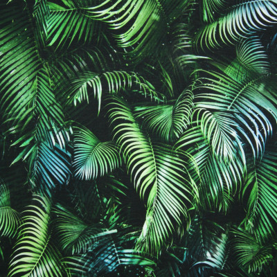 Digitale fotoprint tricot palmbladeren gr