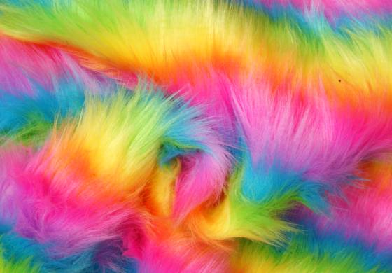 Pluche / Teddy regenboogkleuren langhaar