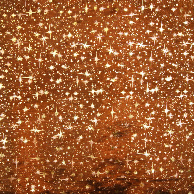 Organza kerst brique met gouden sprankelende sterretjes