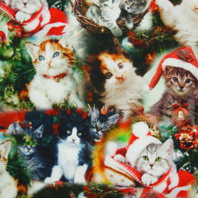 Digitale fotoprint tricot kerstpoesjes