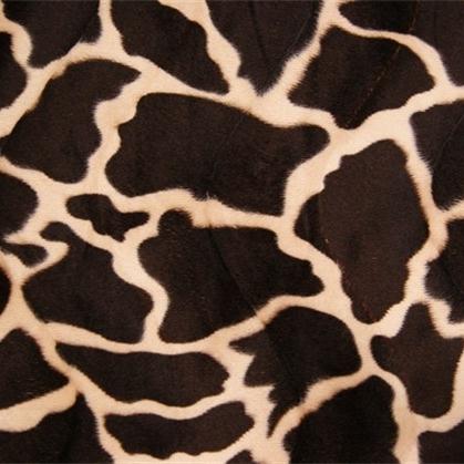 Zwembad Milieuactivist Haast je Dierenprint giraf RT283 online kopen