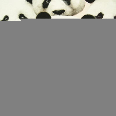 Digitale fotoprint tricot pandabeer