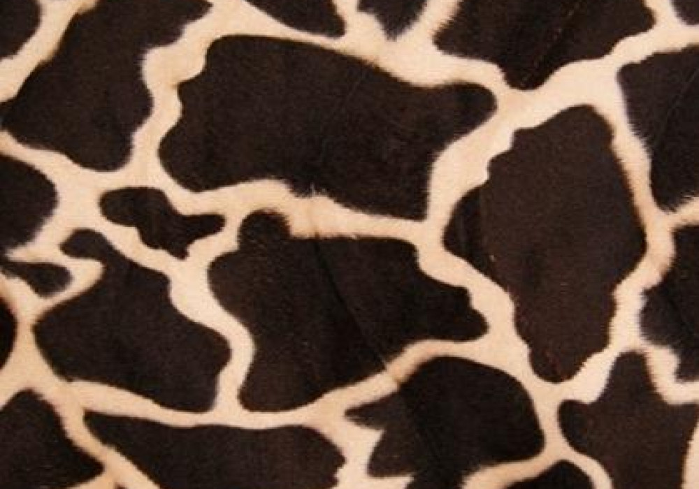 Zwembad Milieuactivist Haast je Dierenprint giraf RT283 online kopen