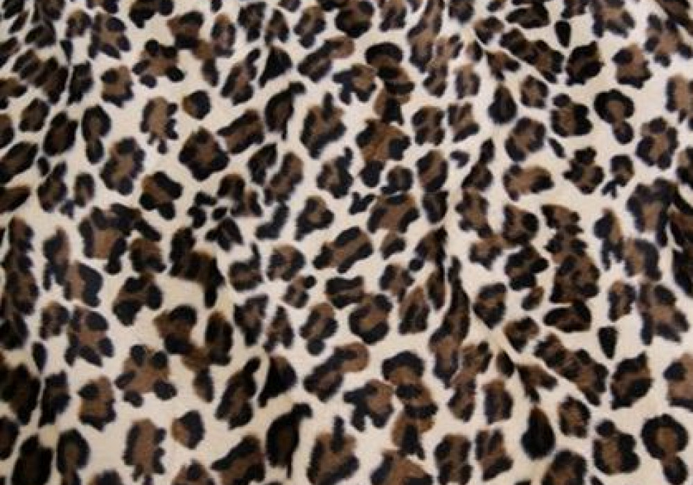 Uitsluiten Detective Wat is er mis Dierenprint luipaard RT285 online kopen