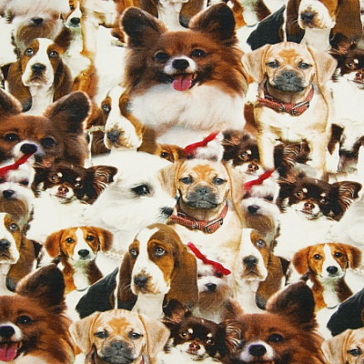 Digitale fotoprint tricot honden